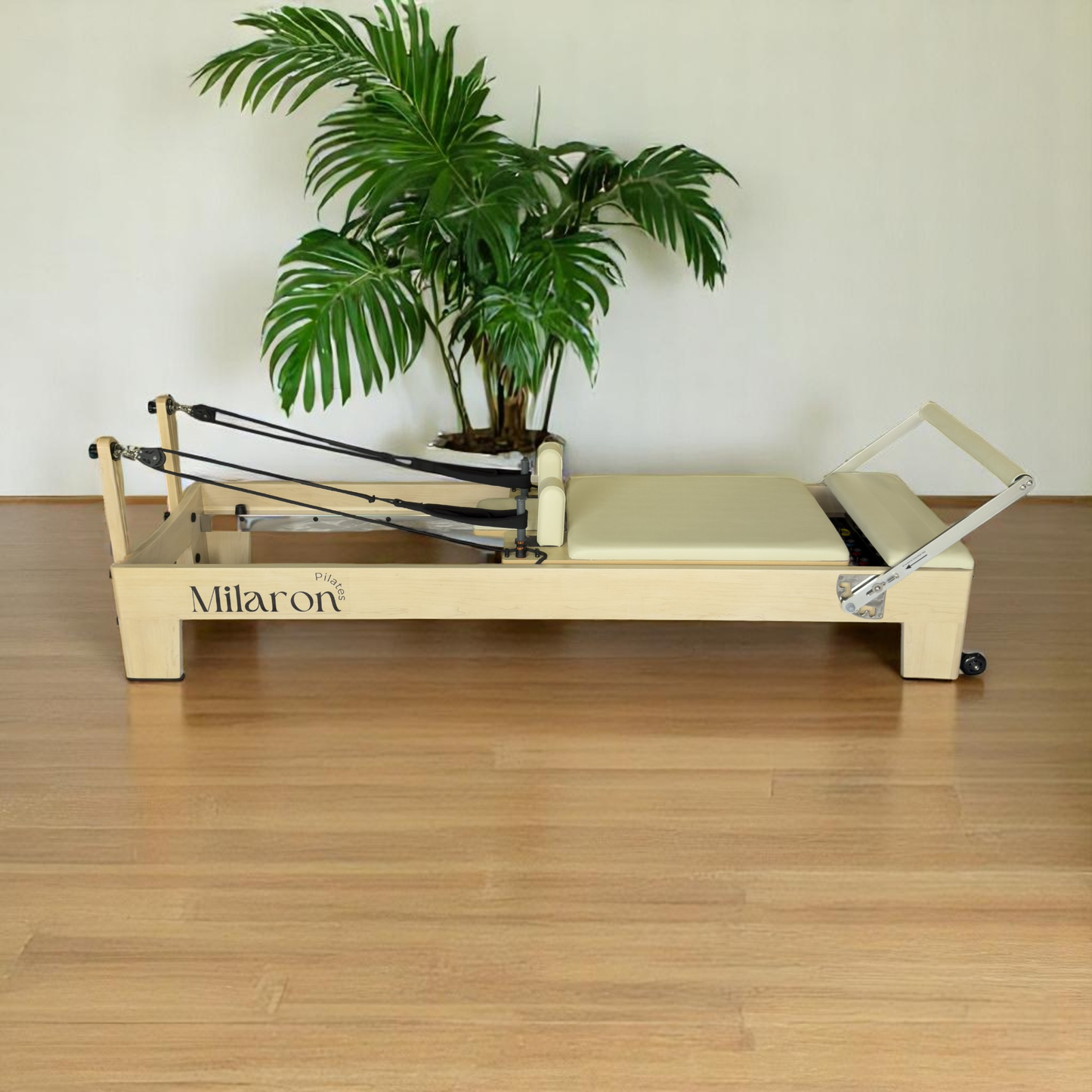 The Maple Studio
