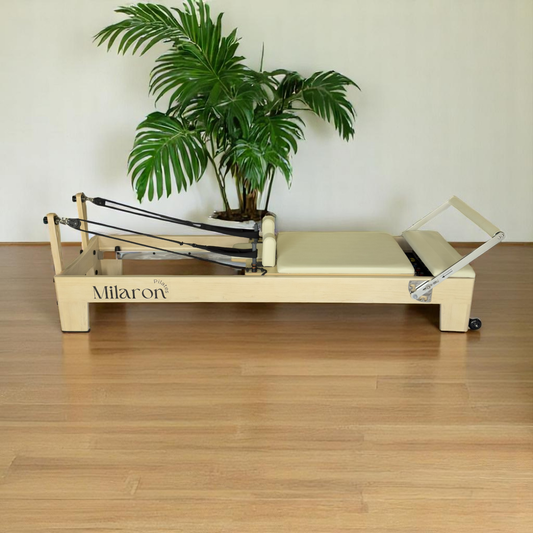 The Maple Studio
